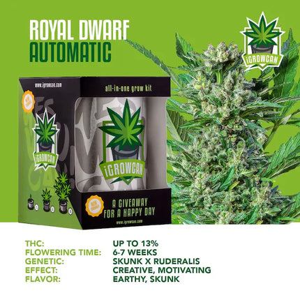 iGrowCan Royal Dwarf Autoflower