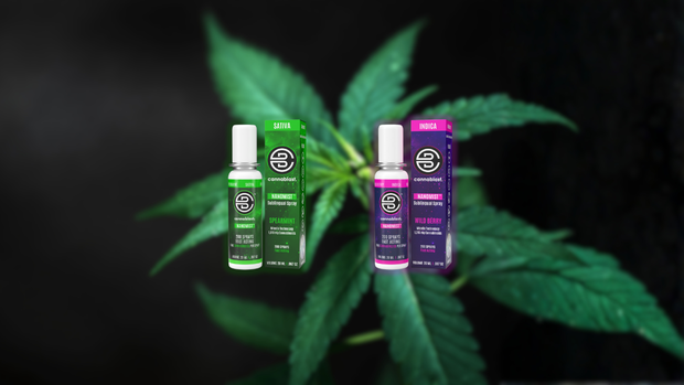 <h2><strong>THC</strong><br/><span style="text-decoration:underline">Oral Spray</span></h2><p><br/></p>