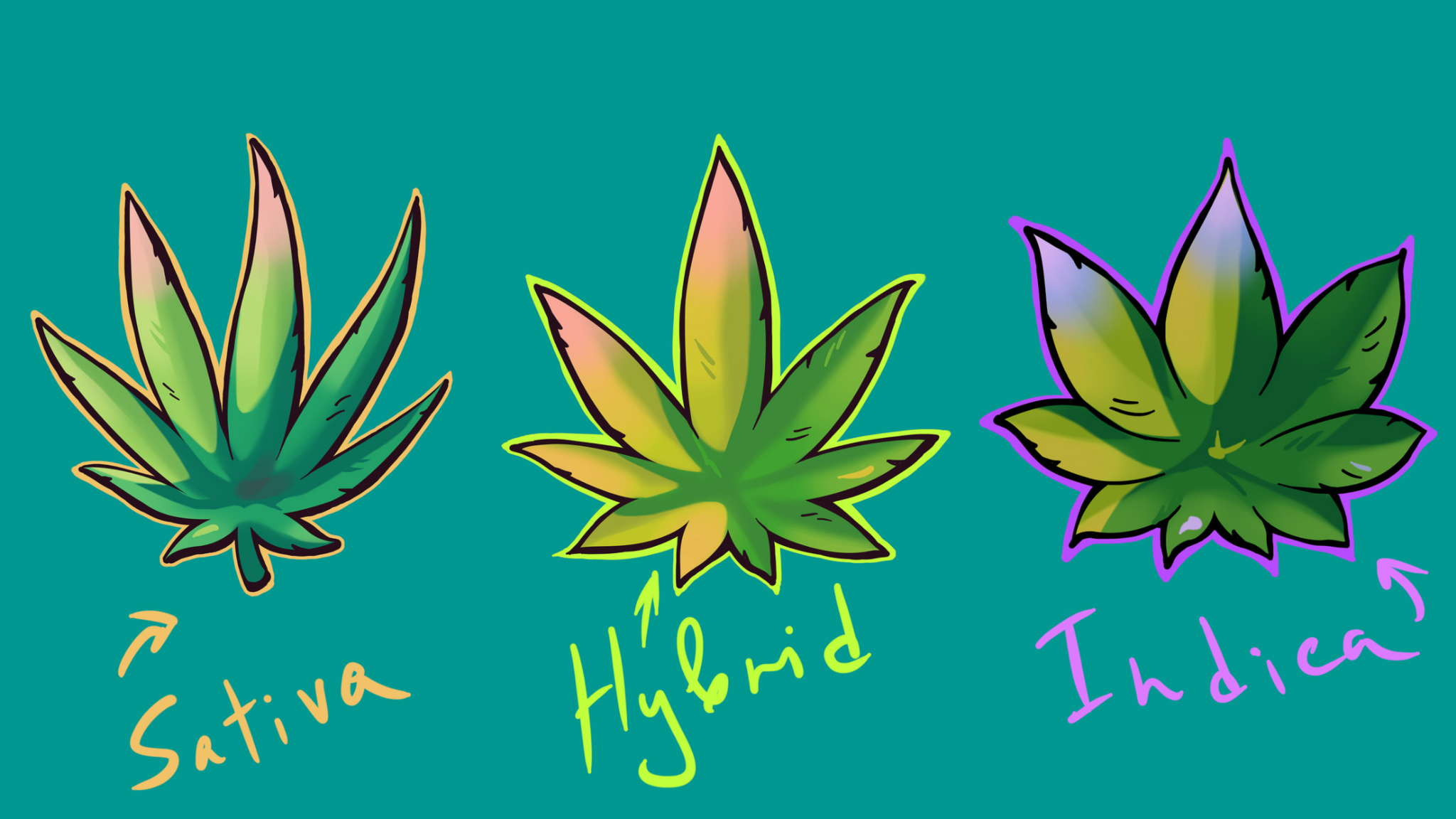 20240329_110756_0000