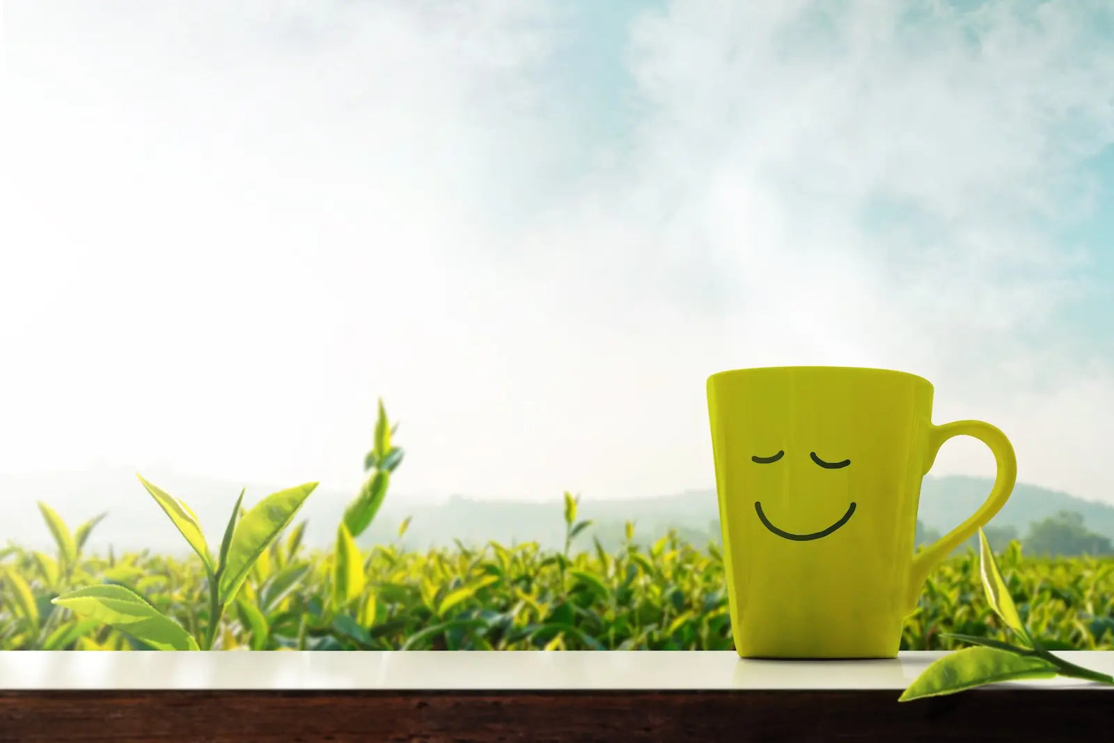 Zo drink je Happy Tea: warm & koud