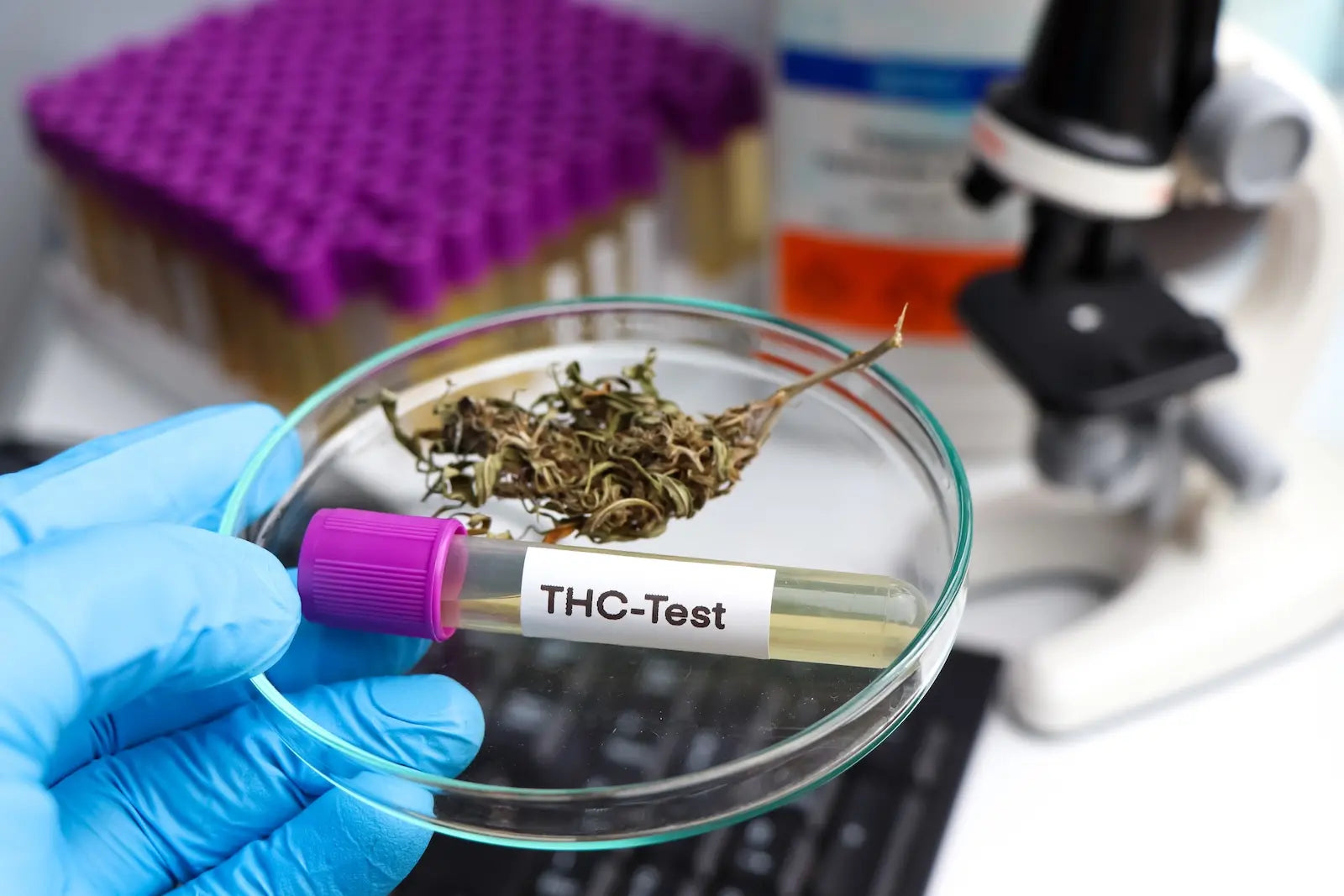 Hoe lang is THC aantoonbaar in het lichaam?