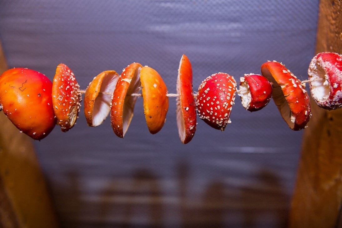 AdobeStock_705125561