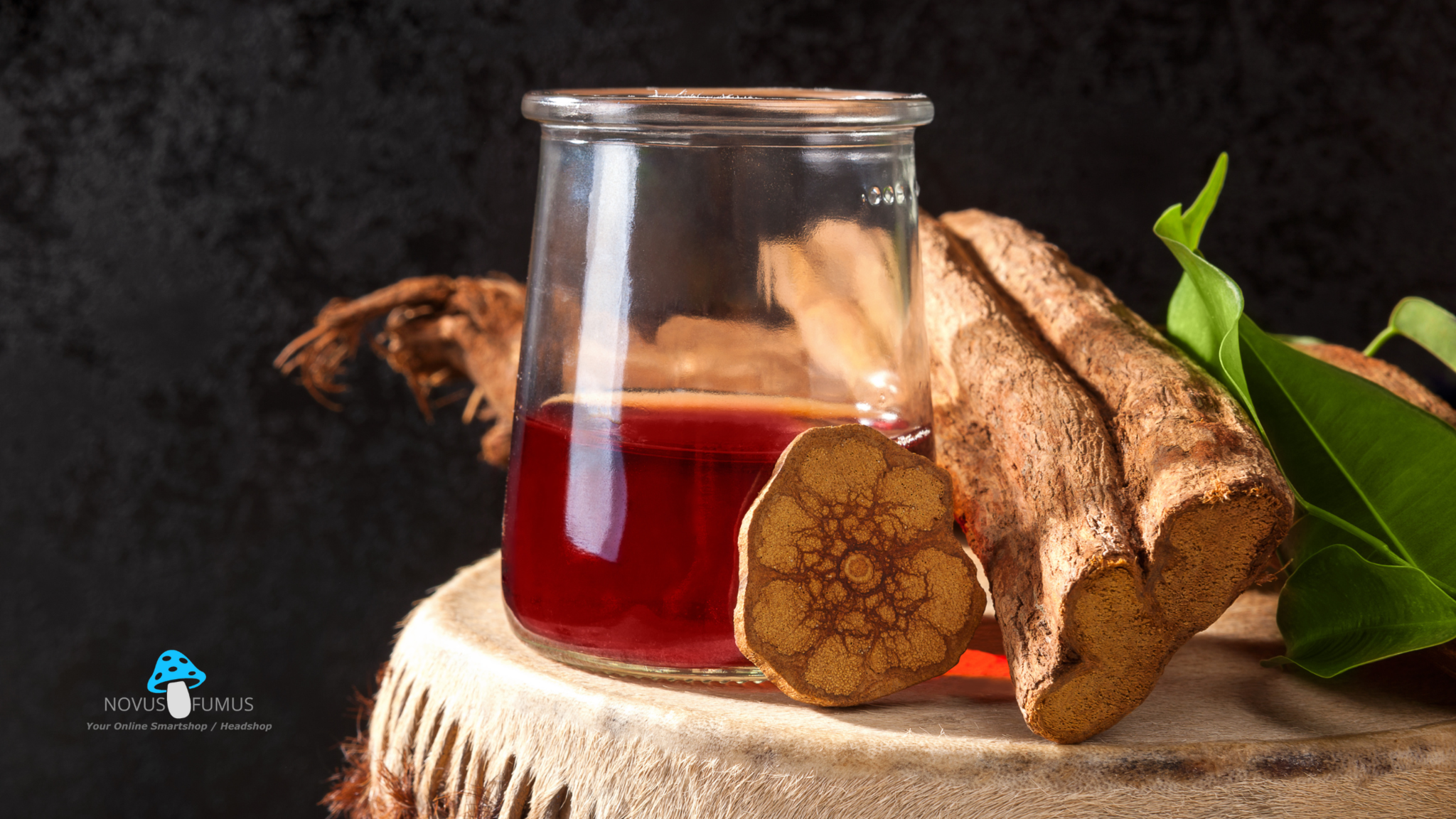 Ontwerp zonder titel_20240806_112859_0000