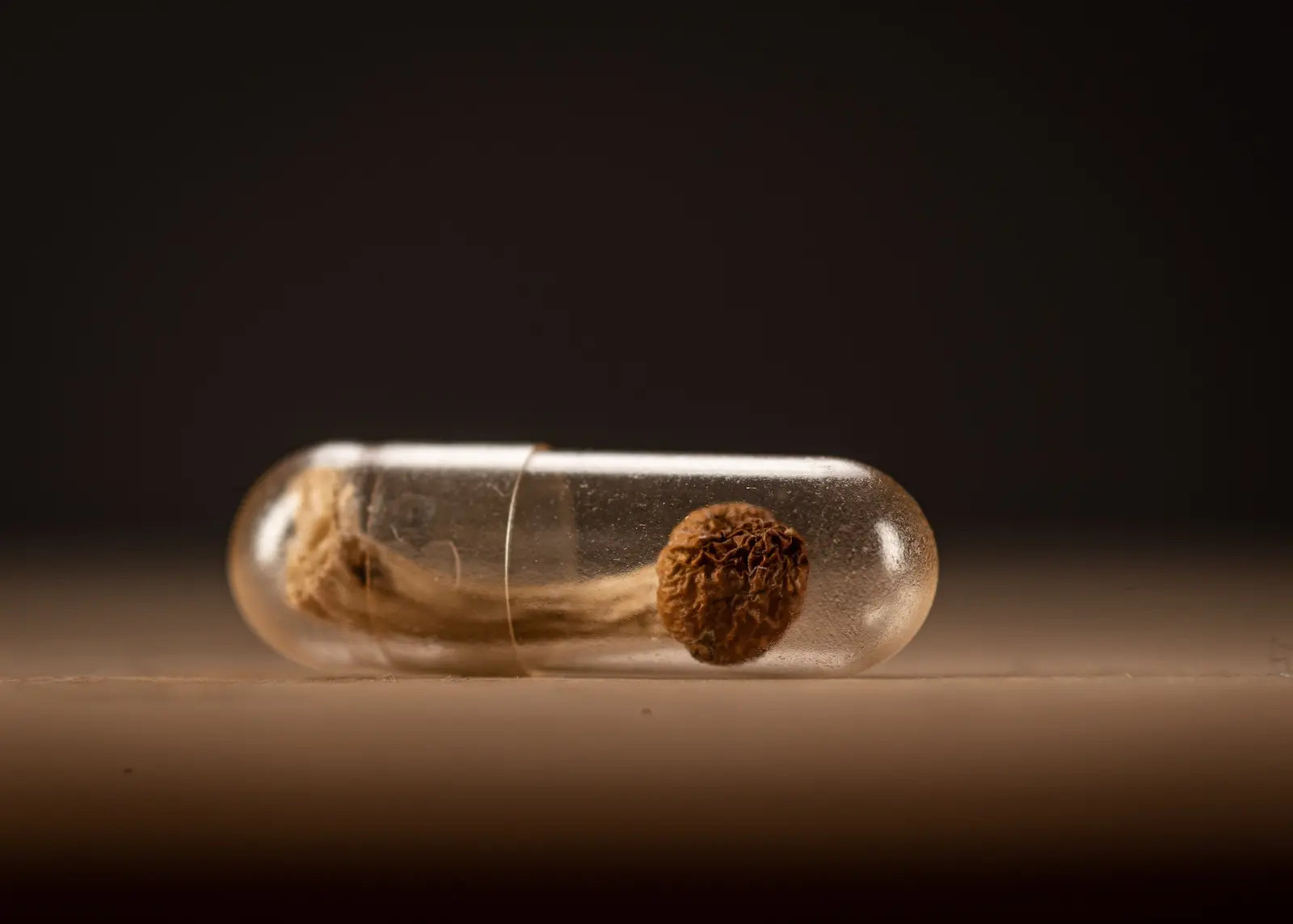 Close-up van een transparante, doorzichtige capsule waarin een klein, intact gedroogd psilocybine paddenstoeltje zit, ter illustratie van een gecondenseerde microdosering.