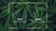Verschillende cannabisproducten zoals THC gummies en CBD olie als legaal alternatief voor HHC bij Novus Fumus.
