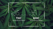 Verschillende cannabisproducten zoals THC gummies en CBD olie als legaal alternatief voor HHC bij Novus Fumus.