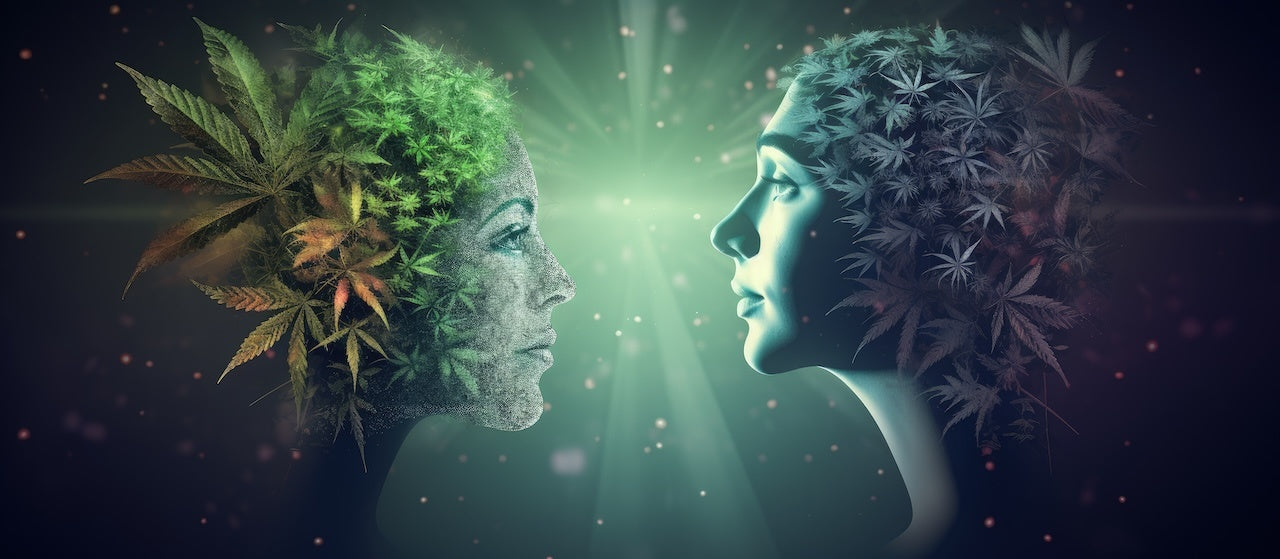 Verschillende soorten High van HHC THC THCP en HHC-O