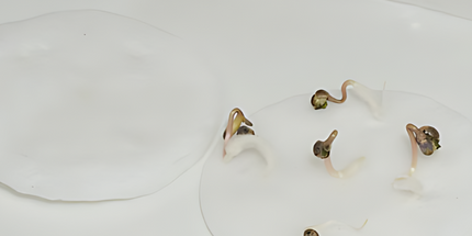 20240712_164544_0000