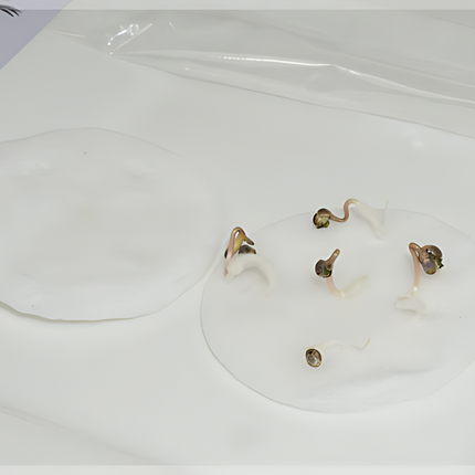 20240712_164544_0000