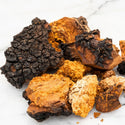 Chaga