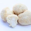 Lion's Mane