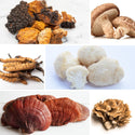 Paddenstoelen Mix