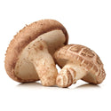 Shiitake