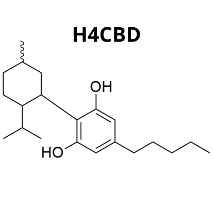 H4CBD_20240719_112607_0003