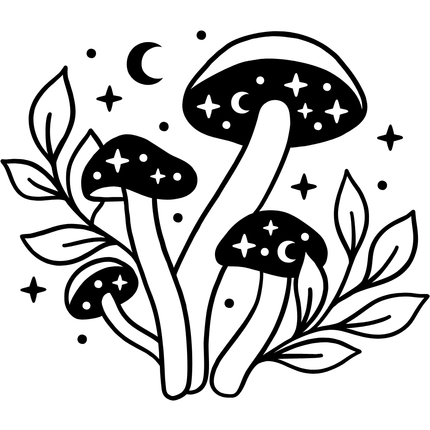 Magic Mushroom_20240719_112607_0023