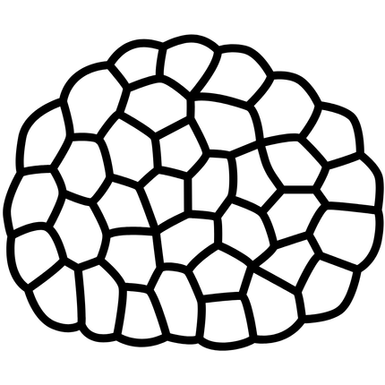 Magic Truffles_20240719_112607_0024