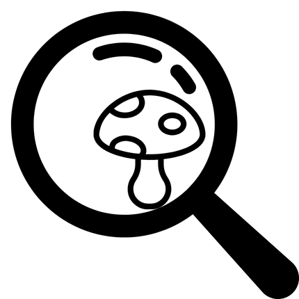 Microdose_20240719_112607_0025