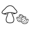 Mushroom Edible_20240719_112607_0017