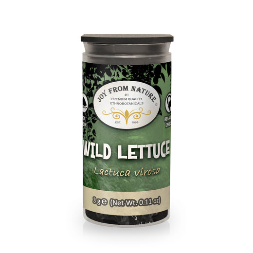 Lattuga selvatica (Lactuca virosa) - 20x Resina - 5 grammi