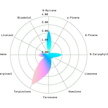 Apollo F1 (Royal Queen Seeds)