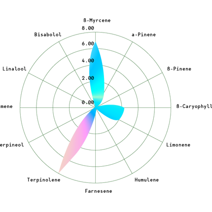 Astro Lemonade F1 (Royal Queen Seeds)