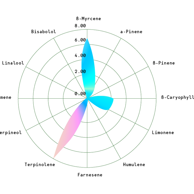 Astro Lemonade F1 (Royal Queen Seeds)