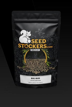 Big Bud Auto - 3 Zaden (Seedstockers)