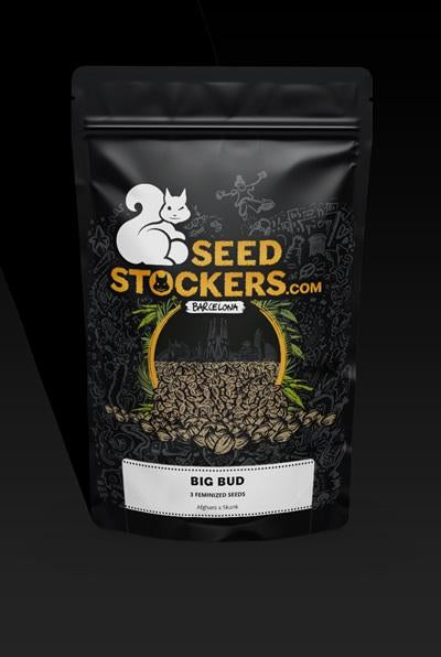 Big Bud - 3 Seeds (Seedstockers)