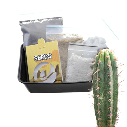 Macrogonus - Kaktus Anzuchtset