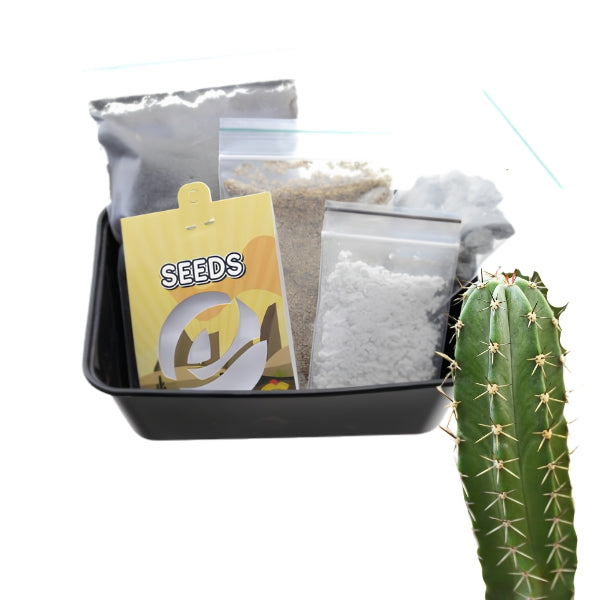 Peruvian Torch - Kit de Culture de Cactus