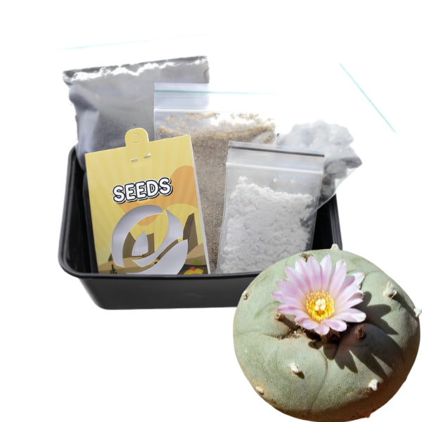 Peyote - Kit de Culture de Cactus
