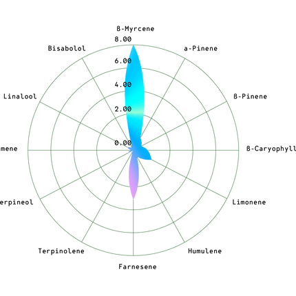 Cosmos F1 (Royal Queen Seeds)