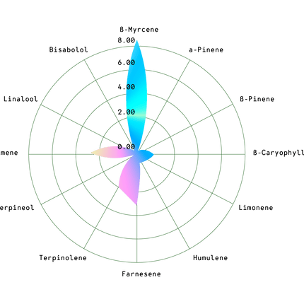 Hyperion F1 (Royal Queen Seeds)