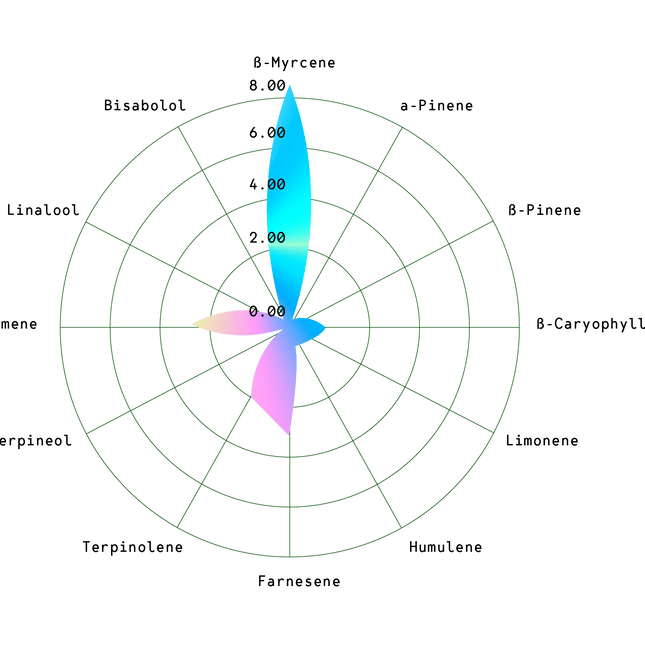Hyperion F1 (Royal Queen Seeds)