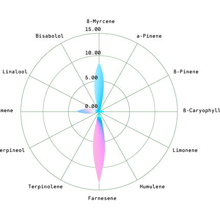 Medusa F1 (Royal Queen Seeds)
