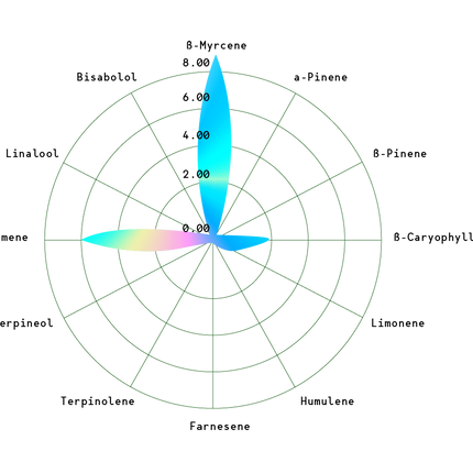 Orbital Banana F1 (Royal Queen Seeds)