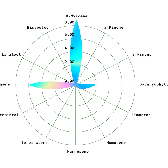 Orbital Banana F1 (Royal Queen Seeds)