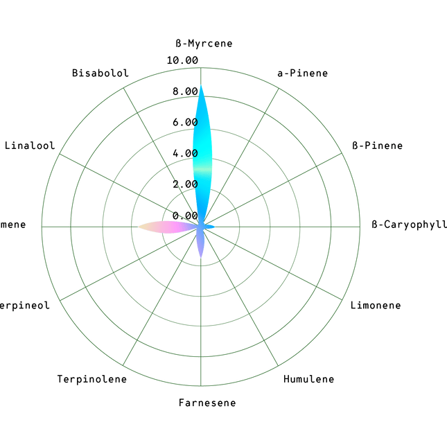 Titan F1 (Royal Queen Seeds)
