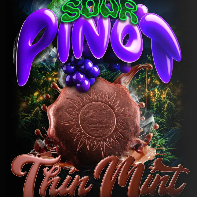 Barney's Farm Thin Mint X Sour Pinot Auto (Barney's Farm)
