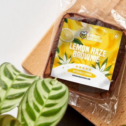 Cannabis Bakehouse Cannabis Brownie