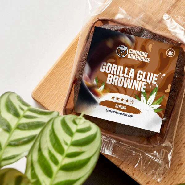 Cannabis Bakehouse Cannabis Brownie