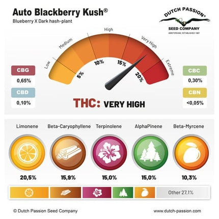 Dutch Passion Auto Blackberry Kush (Dutch Passion)