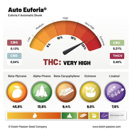 Dutch Passion Auto Euforia (Dutch Passion)