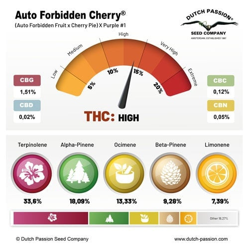 Dutch Passion Auto Forbidden Cherry (Dutch Passion)