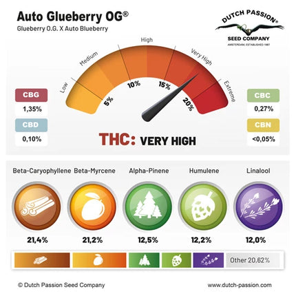 Dutch Passion Auto Glueberry OG (Dutch Passion)