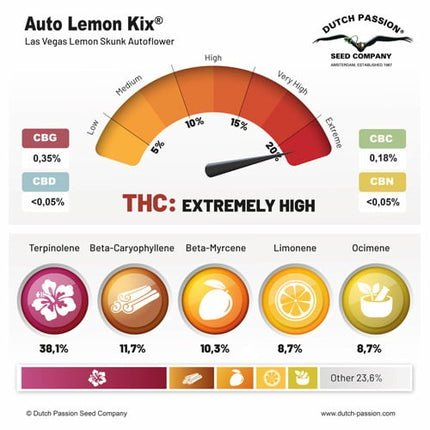 Dutch Passion Auto Lemon Kix (Dutch Passion)
