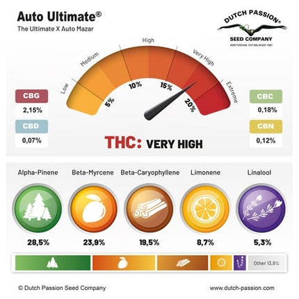 Dutch Passion Auto Ultimate (Dutch Passion)