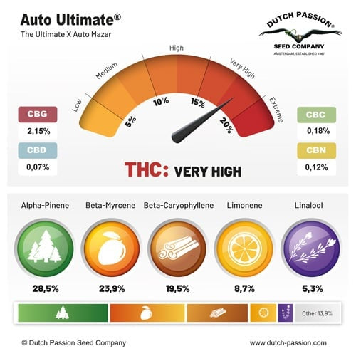 Dutch Passion Auto Ultimate (Dutch Passion)