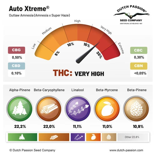 Dutch Passion Auto Xtreme Haze (Dutch Passion)