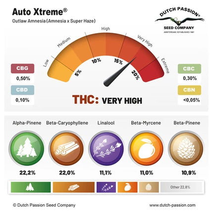 Dutch Passion Auto Xtreme Haze